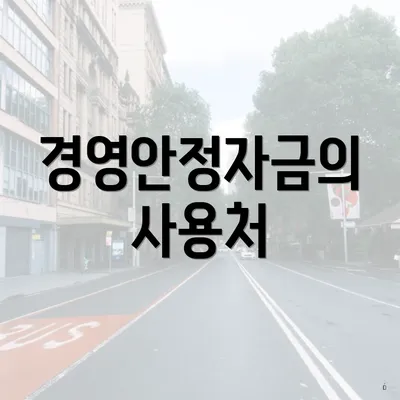 경영안정자금의 사용처