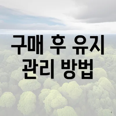 구매 후 유지 관리 방법
