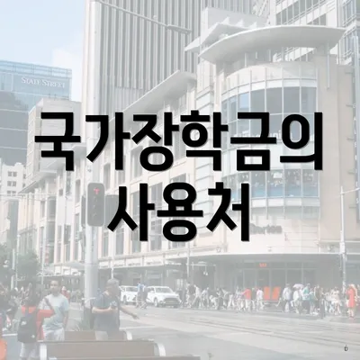 국가장학금의 사용처
