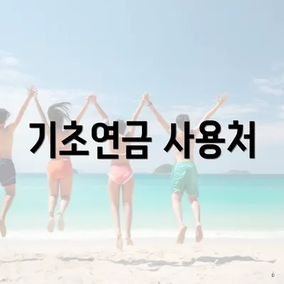 기초연금 사용처