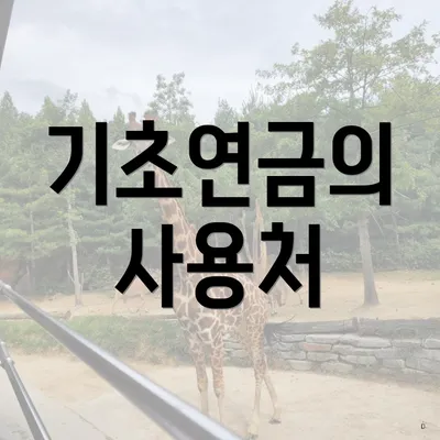 기초연금의 사용처