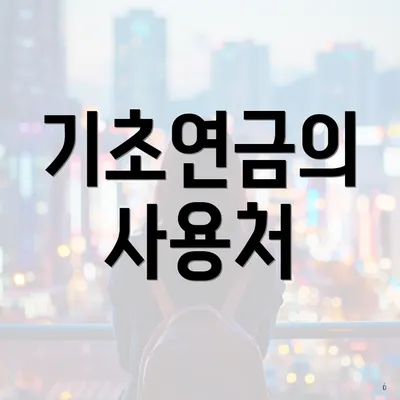 기초연금의 사용처