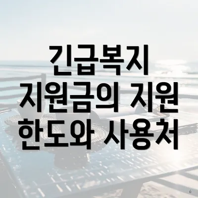 긴급복지 지원금의 지원 한도와 사용처