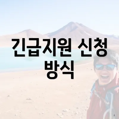 긴급지원 신청 방식