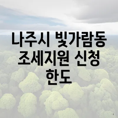 나주시 빛가람동 조세지원 신청 한도