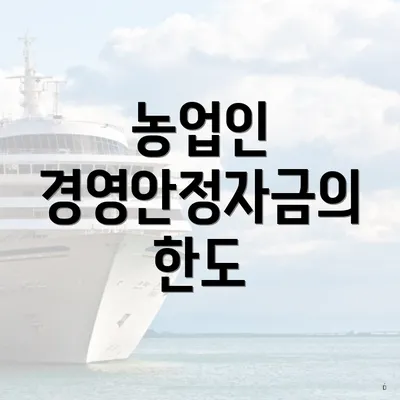 농업인 경영안정자금의 한도