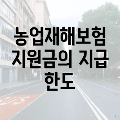 농업재해보험 지원금의 지급 한도