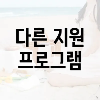 다른 지원 프로그램
