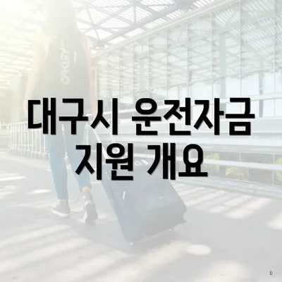 대구시 운전자금 지원 개요