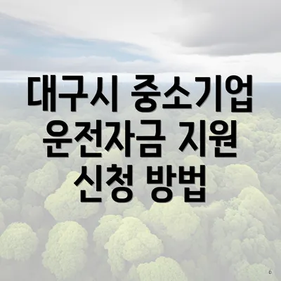 대구시 중소기업 운전자금 지원 신청 방법