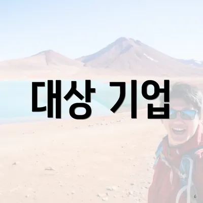 대상 기업