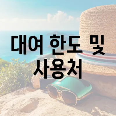 대여 한도 및 사용처