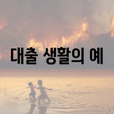 대출 생활의 예