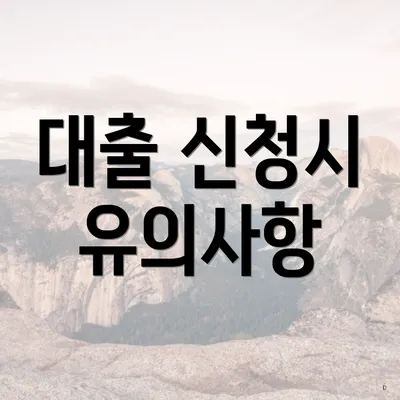 대출 신청시 유의사항