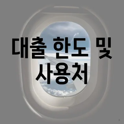 대출 한도 및 사용처