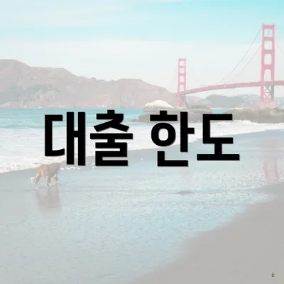 대출 한도
