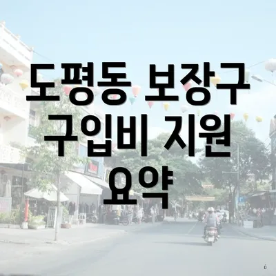 도평동 보장구 구입비 지원 요약