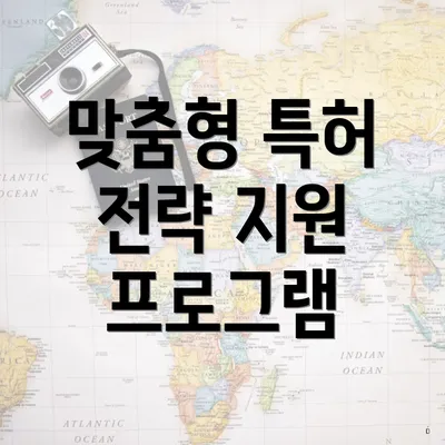 맞춤형 특허 전략 지원 프로그램