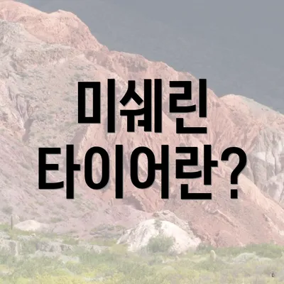 미쉐린 타이어란?