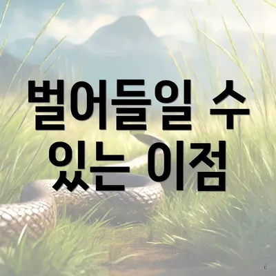 벌어들일 수 있는 이점