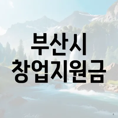 부산시 창업지원금