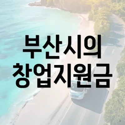 부산시의 창업지원금