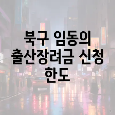 북구 임동의 출산장려금 신청 한도