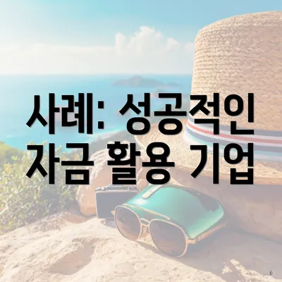 사례: 성공적인 자금 활용 기업