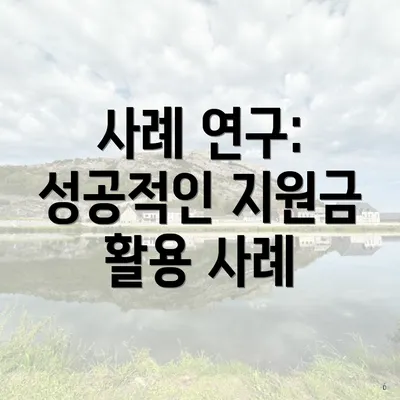 사례 연구: 성공적인 지원금 활용 사례
