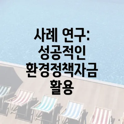 사례 연구: 성공적인 환경정책자금 활용