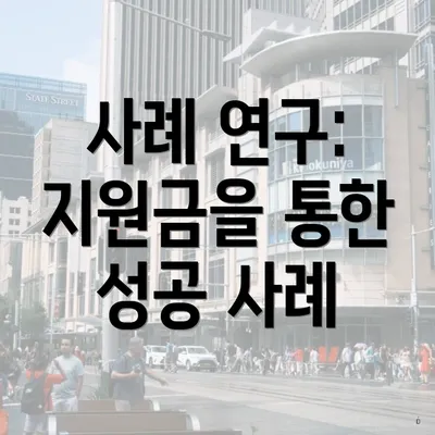사례 연구: 지원금을 통한 성공 사례
