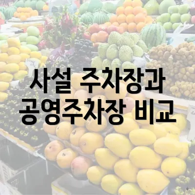 사설 주차장과 공영주차장 비교