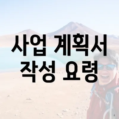 사업 계획서 작성 요령
