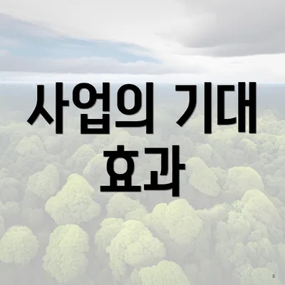 사업의 기대 효과