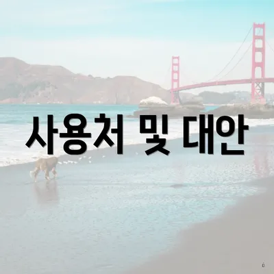 사용처 및 대안