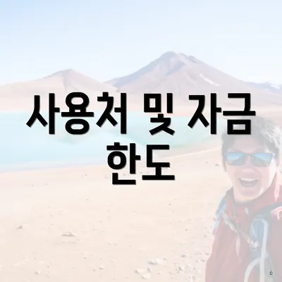 사용처 및 자금 한도