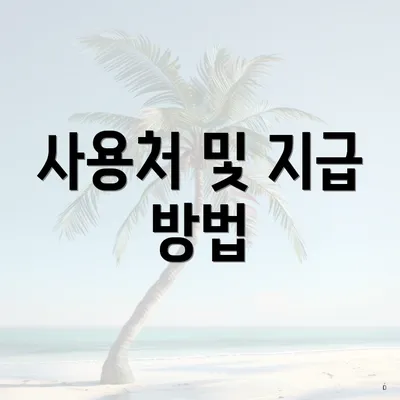 사용처 및 지급 방법