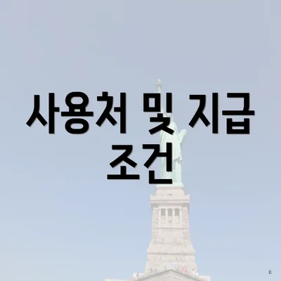 사용처 및 지급 조건