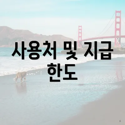 사용처 및 지급 한도