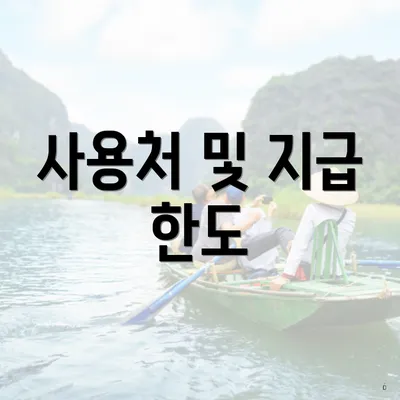 사용처 및 지급 한도