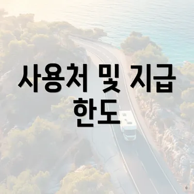 사용처 및 지급 한도