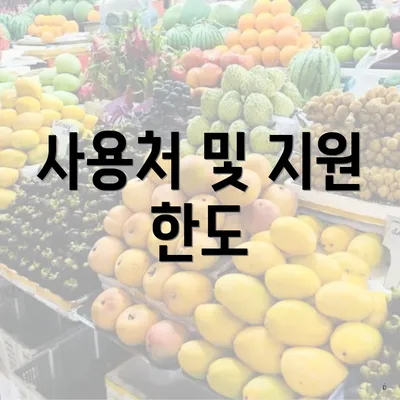 사용처 및 지원 한도