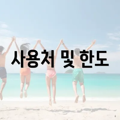 사용처 및 한도