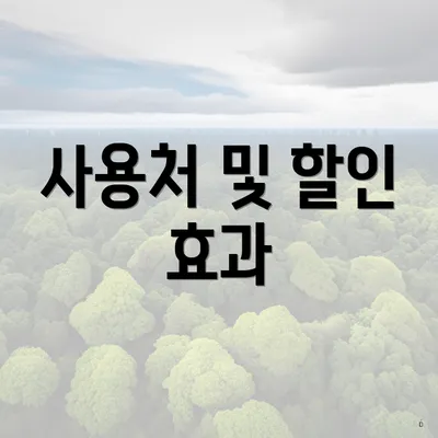 사용처 및 할인 효과