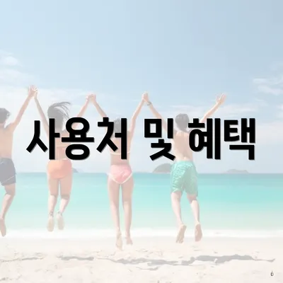 사용처 및 혜택