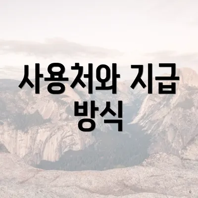 사용처와 지급 방식