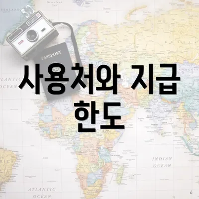 사용처와 지급 한도