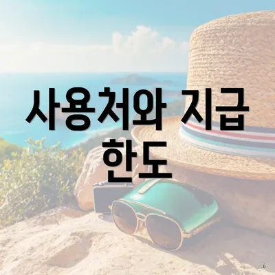 사용처와 지급 한도