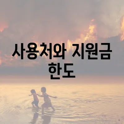 사용처와 지원금 한도