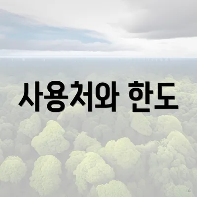사용처와 한도